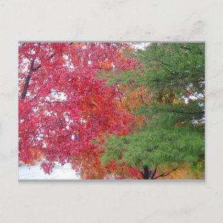 klänning (för att passa humöret) vykort