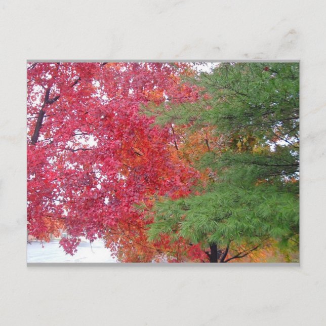 klänning (för att passa humöret) vykort (Framsida)