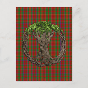 Klansläkt Munro Tartan Och Kelternas Livsträd Vykort