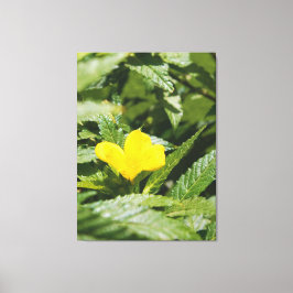 Klar Gul Blomma Bland Gröna Blad Canvastryck