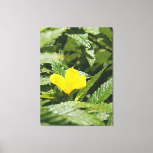 Klar Gul Blomma Bland Gröna Blad Canvastryck