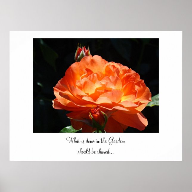 Klar i Garden bör vara Shared Art print Ro Poster (Framsidan)
