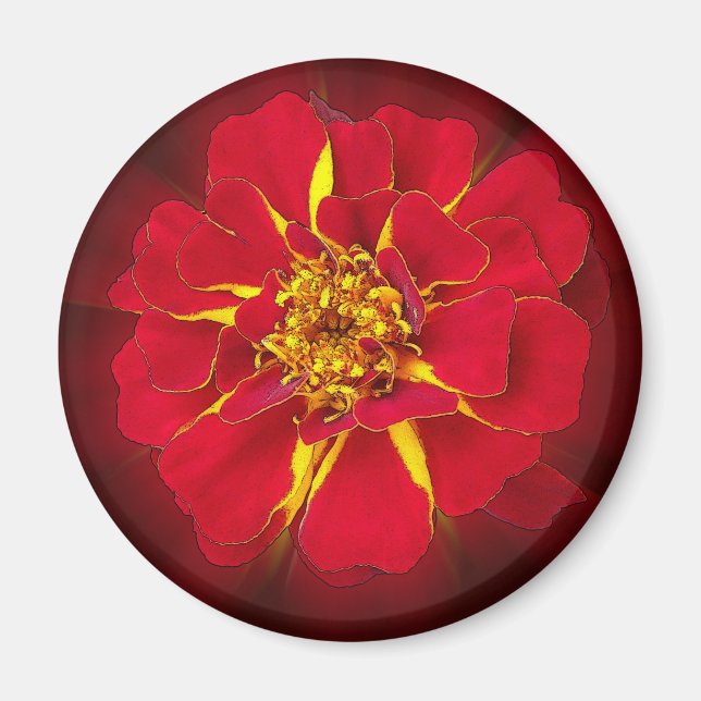 klarröd marigold magnet (Framsidan)