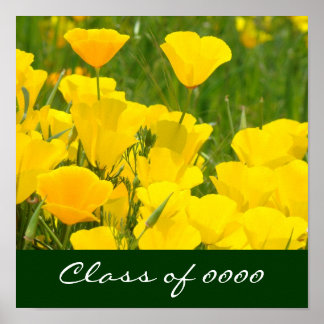 Klass 0000 affischtryck Skol vallmo blommor Poster