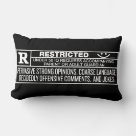 Klassa r-kast lumbarkudde