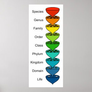 Klassificera mångfalden av organiskt liv kartläg poster
