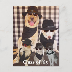 Klassificera möteinbjudan inbjudan vykort