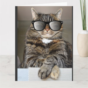 KLASSIFICERADE KROPPSKORT AV coola CAT GRATTIS PÅ Kort