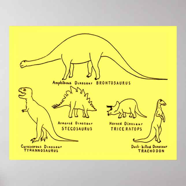 Klassificering av dosinosaur poster (Framsidan)