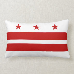 Klassiker Washington D.C. Sjunka Lumbarkudde