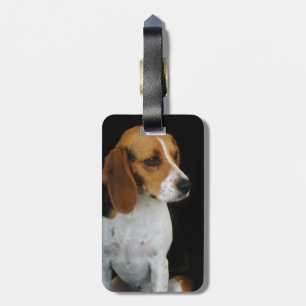 KlassikerBeagle Bagagebricka