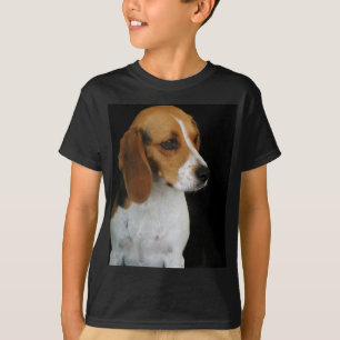 KlassikerBeagle Tröja
