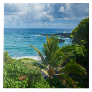 Klassisk Blå Hawaii Tropical Island Sea Handflata Kakelplatta