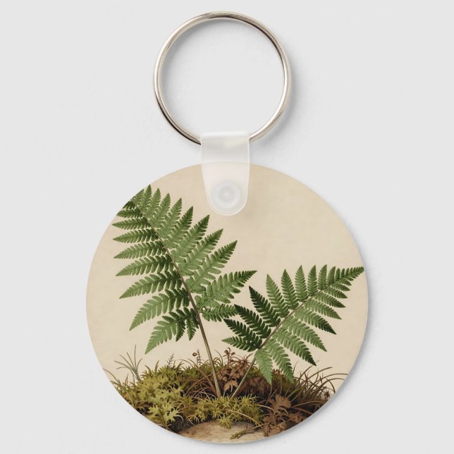 Klassisk botanisk ormbunksillustration nyckelring (Framsida)