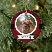 Klassisk Buffalo-rutig en bild husdjur