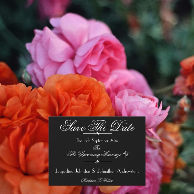 Klassisk Chic Skript Namn B & W Spara datum Meddelande (Wedding Save The Date Announcement Cards - Classic chic script names in black and white.)