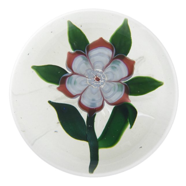 Klassisk enkel öppen nedre viktoriansk knopp (Framsidan)