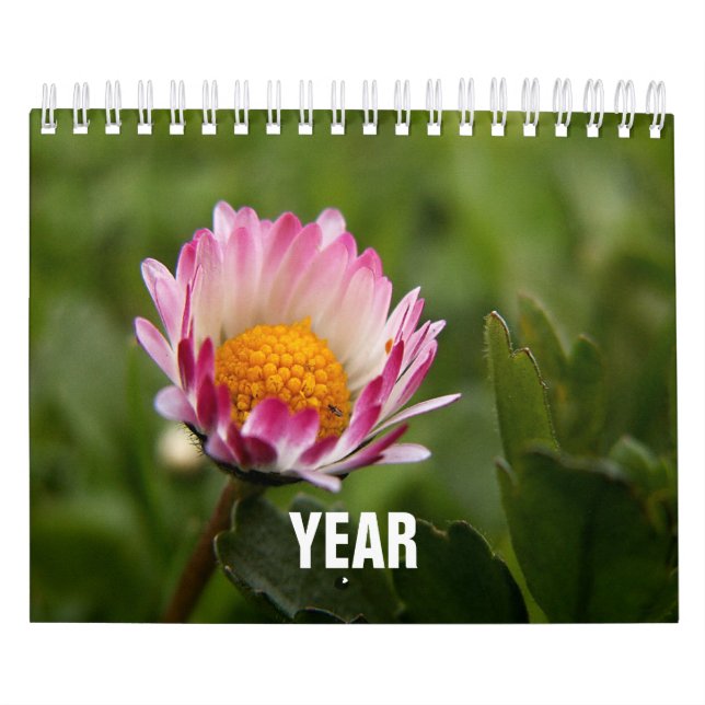 Klassisk, Familar Kalender (Omslag)