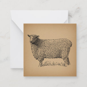 Klassisk fårbild Illustration Antique Farm Animal Anteckningskort