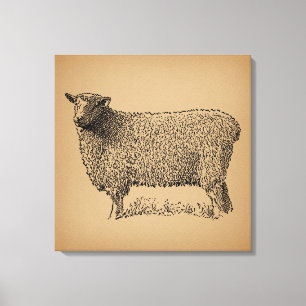Klassisk fårbild Illustration Antique Farm Animal Canvastryck