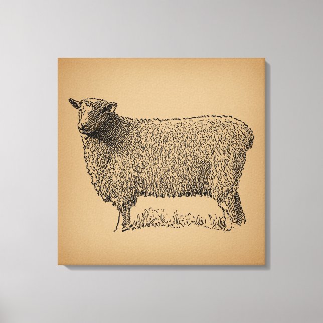 Klassisk fårbild Illustration Antique Farm Animal Canvastryck (Framsida)
