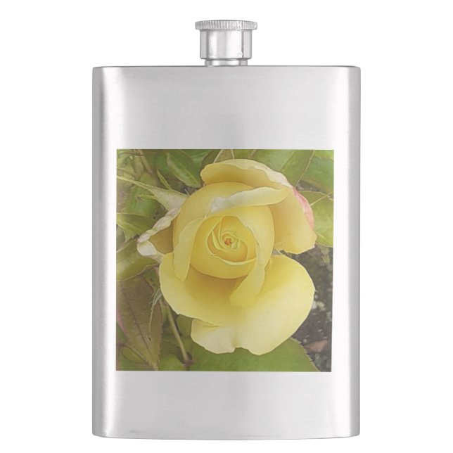 Klassisk  för gult Rosenknopp Fickplunta (Framsidan)