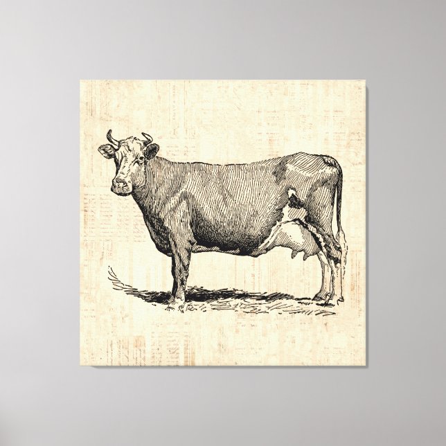 Klassisk gammal, fashiated Cow Art Canvastryck (Framsida)