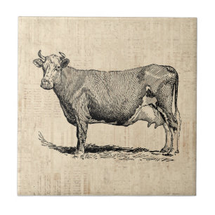 Klassisk gammal, fashiated Cow Art Kakelplatta