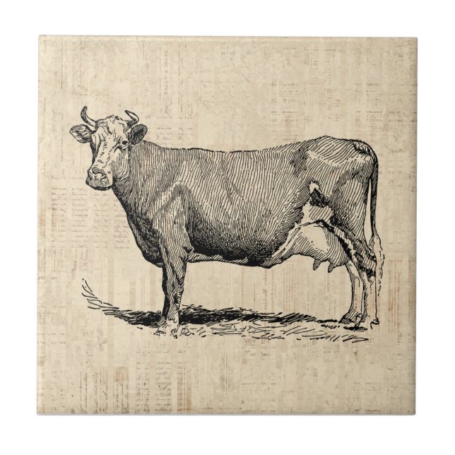 Klassisk gammal, fashiated Cow Art Kakelplatta (Framsidan)