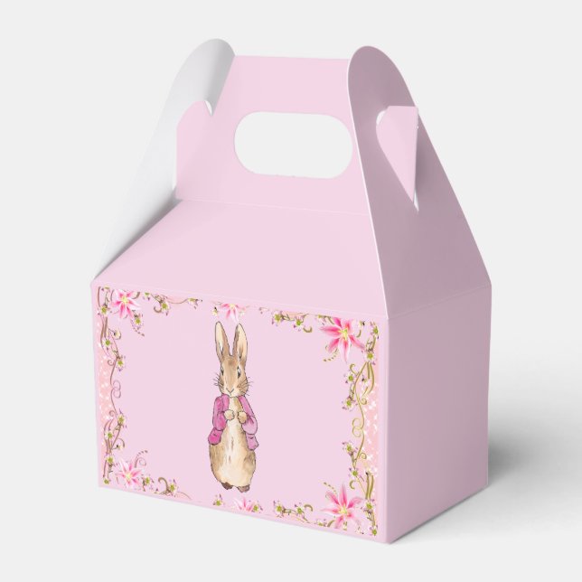 Klassisk kanin som bär rosa jacka presentaskar (Framsidan Sidan)