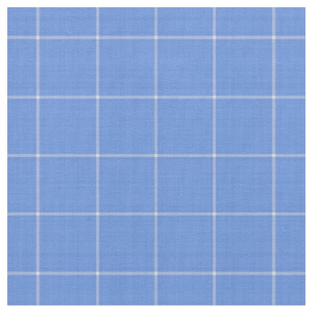 Klassisk Kornblå Stor Gingham Rutig Tyg (Närbild)