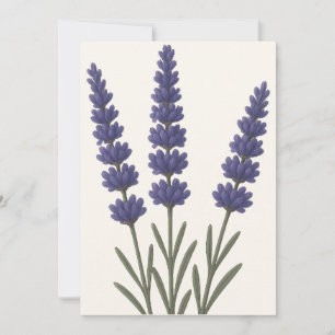 Klassisk lavender Botanical Art Design Julkort