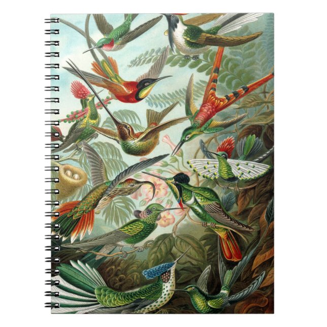 klassisk målning av hummerfågel anteckningsbok (Framsidan)