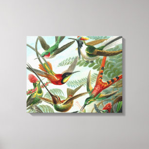 klassisk målning av hummerfågel canvastryck