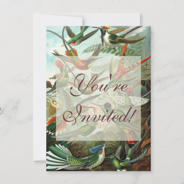 klassisk målning av hummerfågel inbjudningar (Framsida)