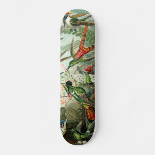 klassisk målning av hummerfågel skateboard bräda 20 cm