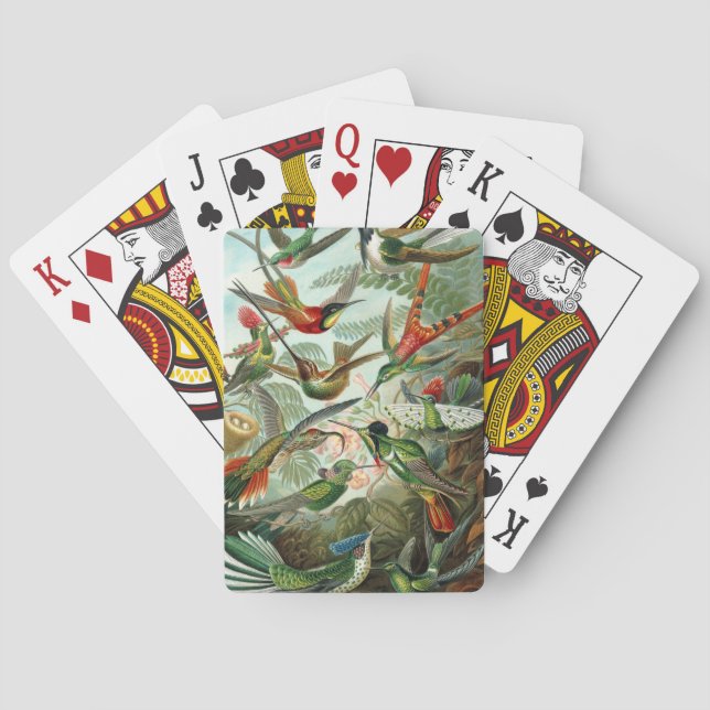 klassisk målning av hummerfågel spelkort (Baksidan)