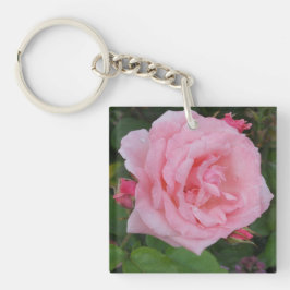 Klassisk rosa ros