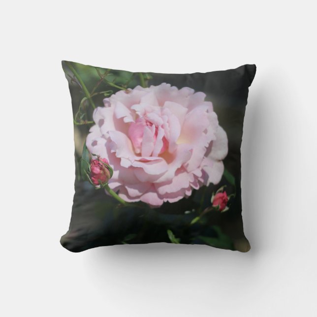 Klassisk rosa ros vacker naturfotografi kudde (Framsida)