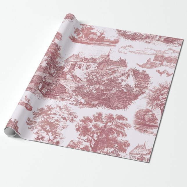 Klassisk Rosa Vintage Fransk Land Toile Presentpapper (Utrullad)