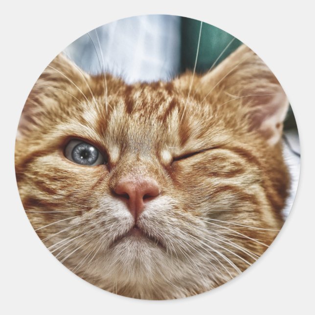 Klassisk rund etikett (Framsida)