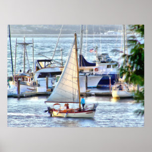 Klassisk segelbåt som seglar in i hamnen Hadlock M Poster