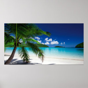 Klassisk tropisk strand poster