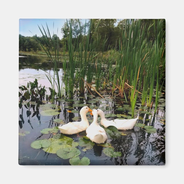 Klassisk vit ankor på vackra sjö magnet (Framsidan)