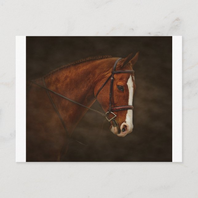 Klassisk Vykort (Framsida)