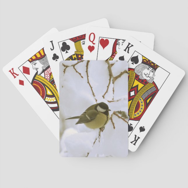 Klassiska fågelkort Snö Kortlek (Baksidan)