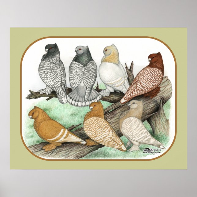 Klassiska friska kanoner Blondinettes Poster (Framsidan)