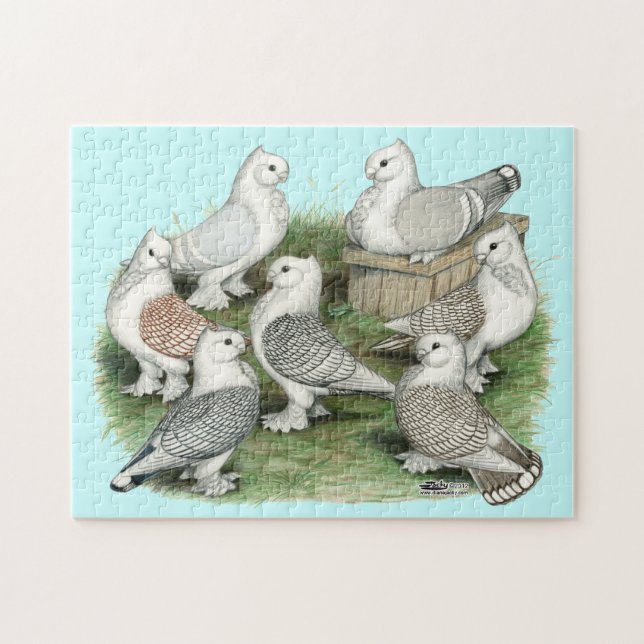 Klassiska friska pigeons pussel (Horisontell)