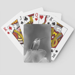 Klassiska Hummingbird-kort Casinokort