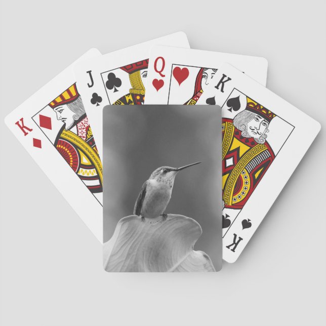 Klassiska Hummingbird-kort Casinokort (Baksidan)